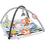 Fisher price 3 in 1 playmat baby gym