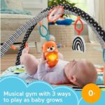 Fisher price 3 in 1 playmat baby gym