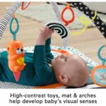 Fisher price 3 in 1 playmat baby gym